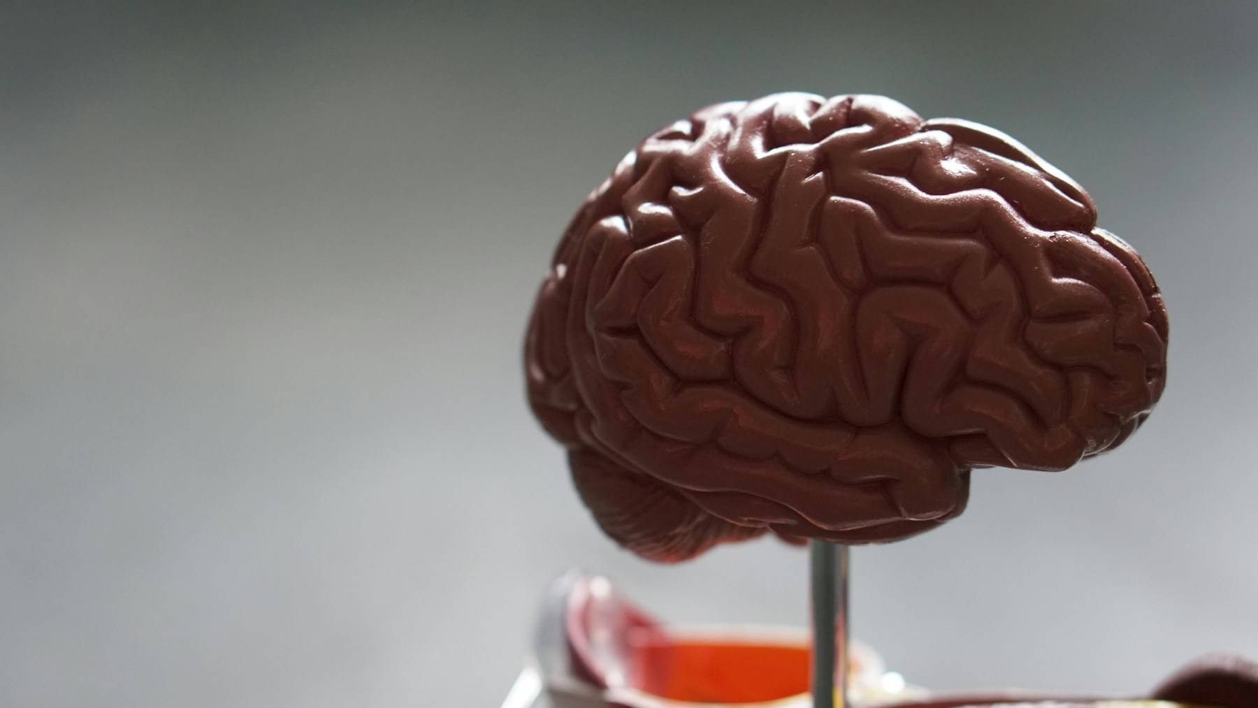 Imágenes de actividad cerebral usadas en una evaluación de neurofeedback en Zaragoza