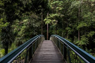 Luz cálida entre los árboles de un bosque, sensación de calma